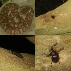 Thumbnail of post image 190